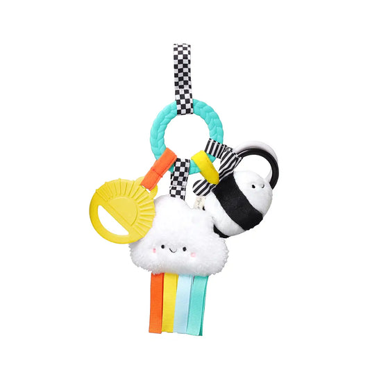 Itzy Ritzy - Bitzy Busy Ring (High Contrast)