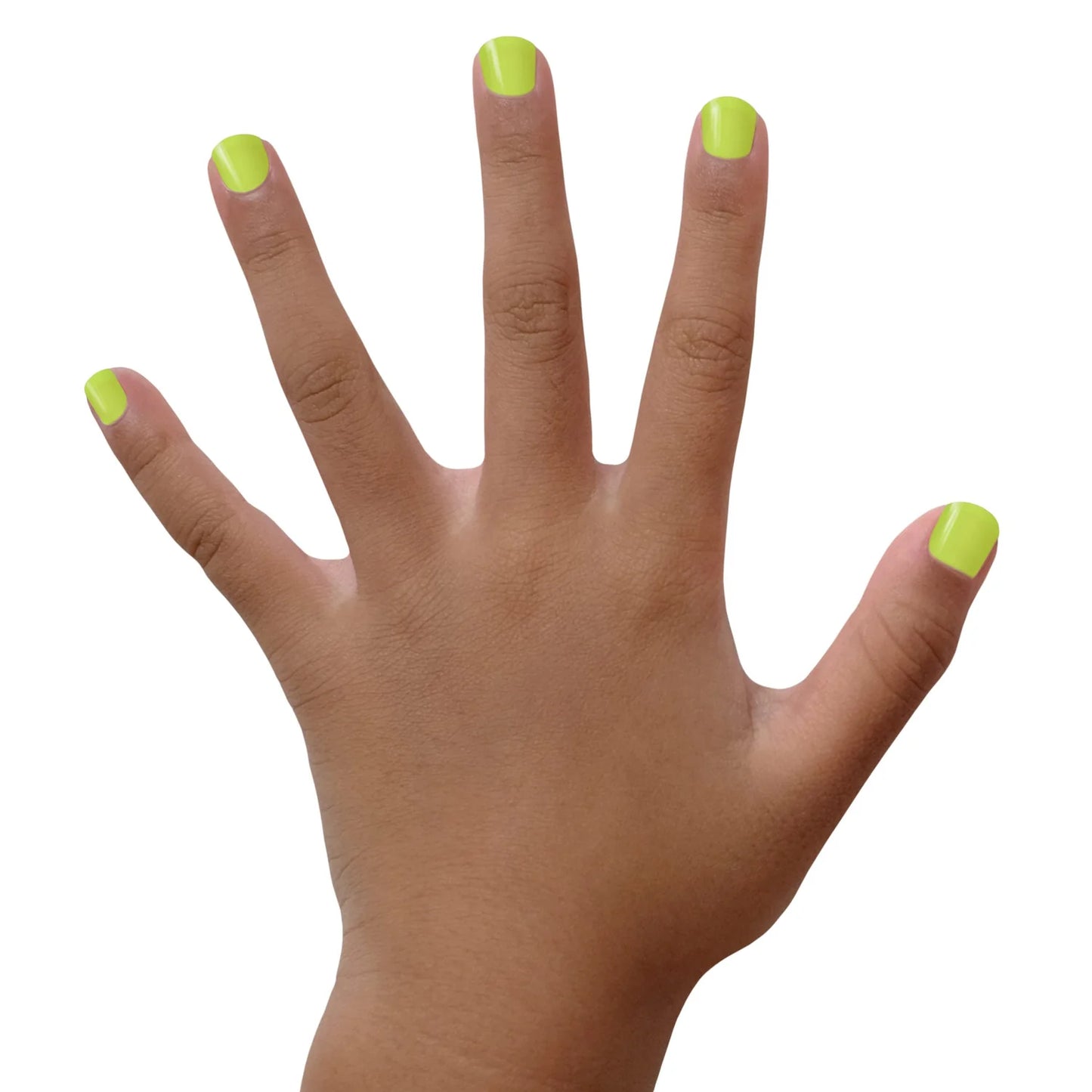 Piggy Paint - Lime Time