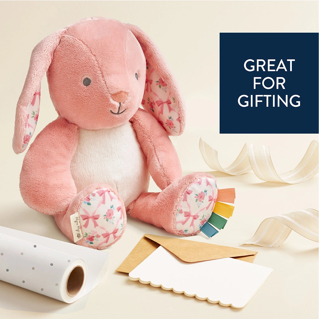 Itzy Ritzy - Sweetie Snuggles Plush (Pink Bunny)