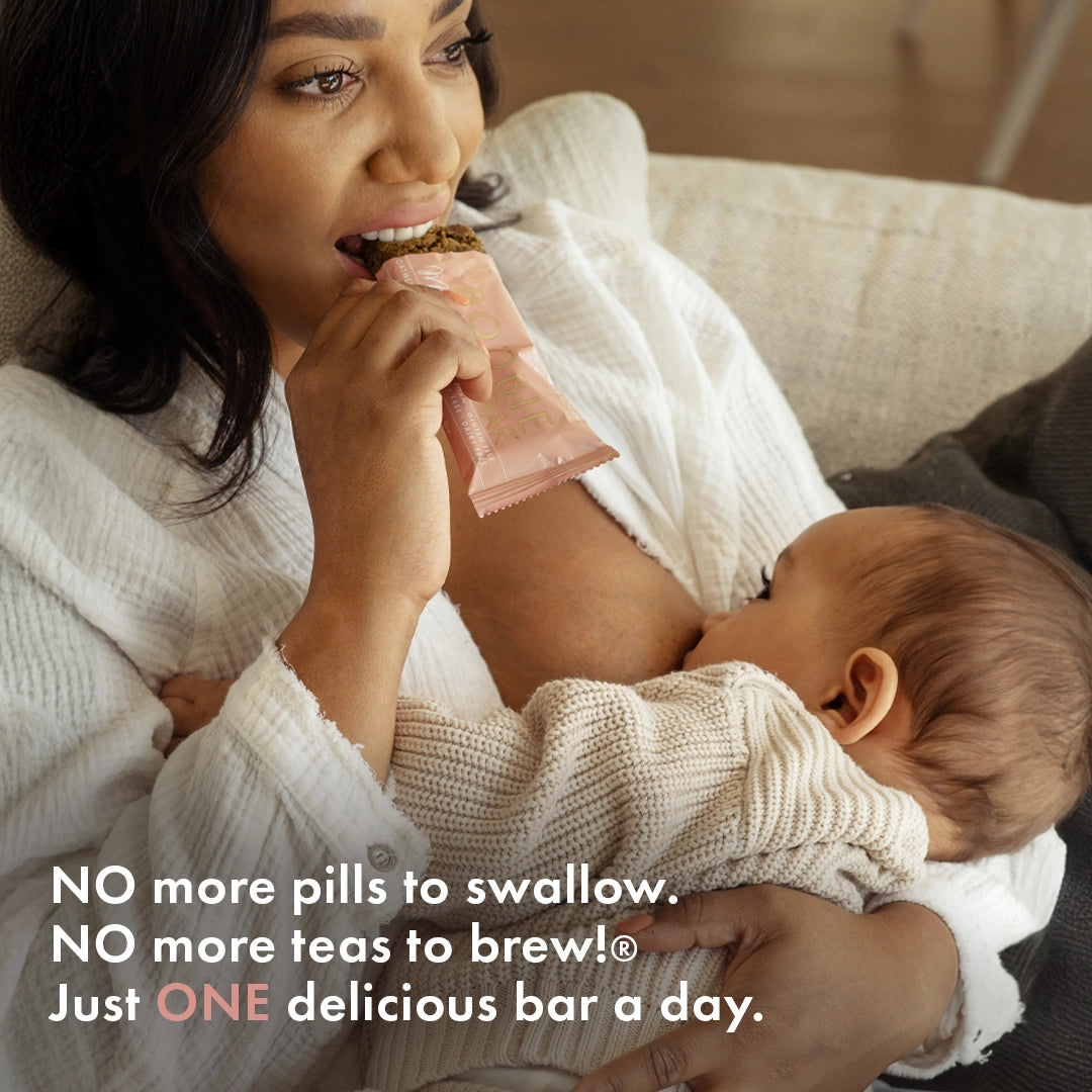 Boobie Bar Lactation Bars (Oatmeal Chocolate Chip)