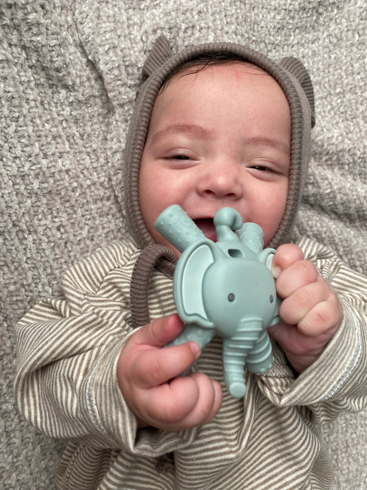 Ritzy Teether Baby Molar Teether (Elephant)