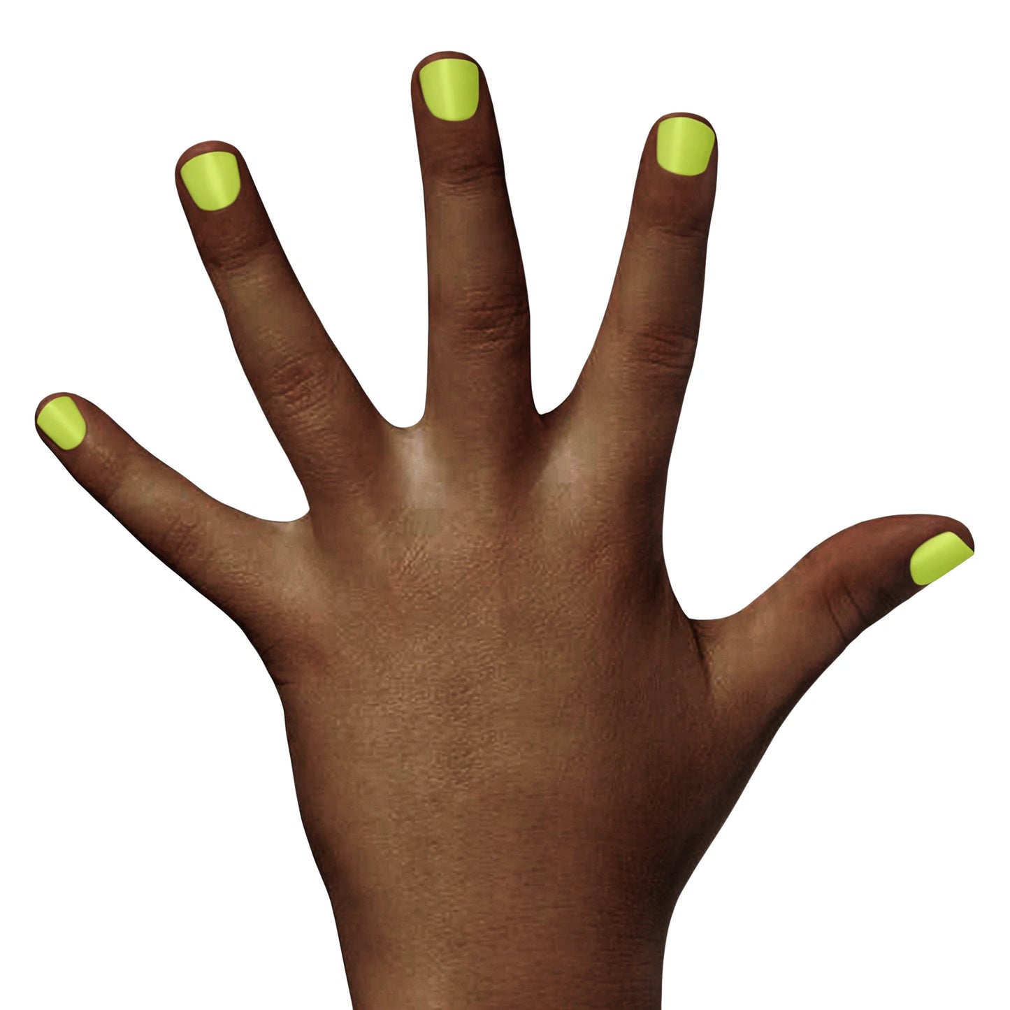 Piggy Paint - Lime Time