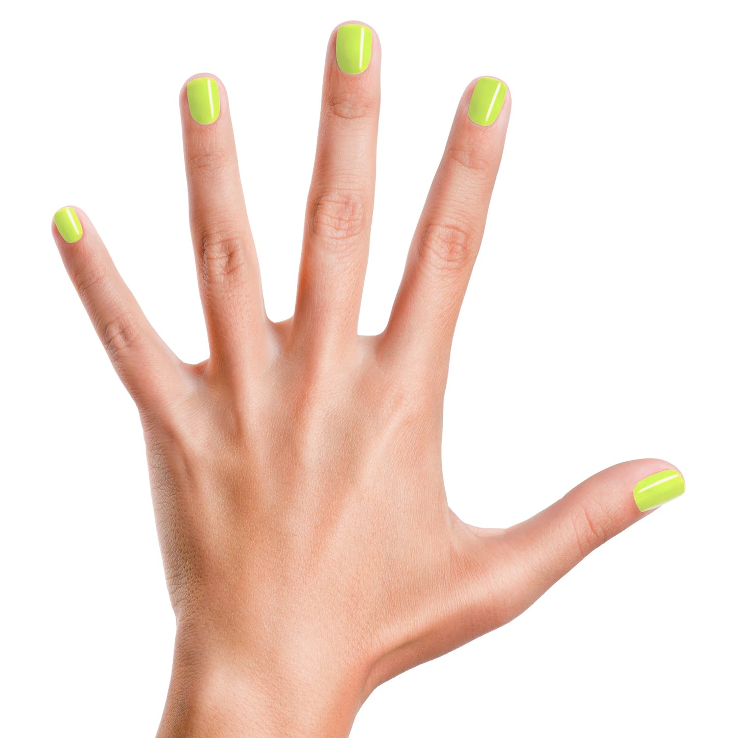 Piggy Paint - Lime Time