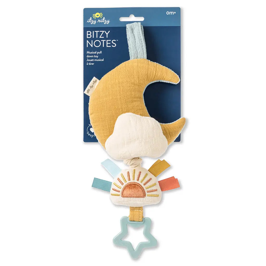 Bitzy Notes Musical Pulldown Toy Cloud/Sun